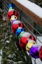 Bayview Christmas 2016