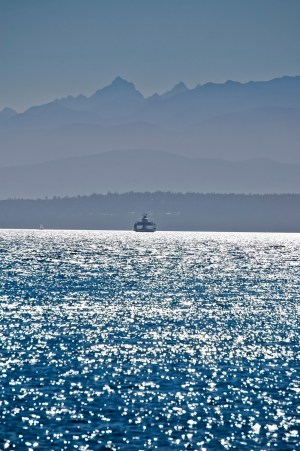 Tom Trimbath-DSC_4856-Edit-FBISedit-CLEAN