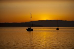 Tom Trimbath-DSC_8821