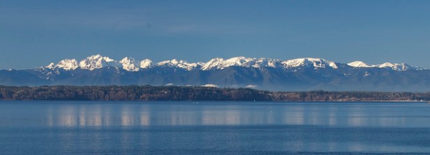 23677239174_136eb70114_z