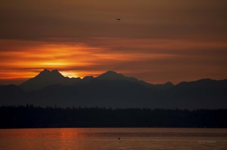 DSC_9166_clean_bright - Joe Edits 030719