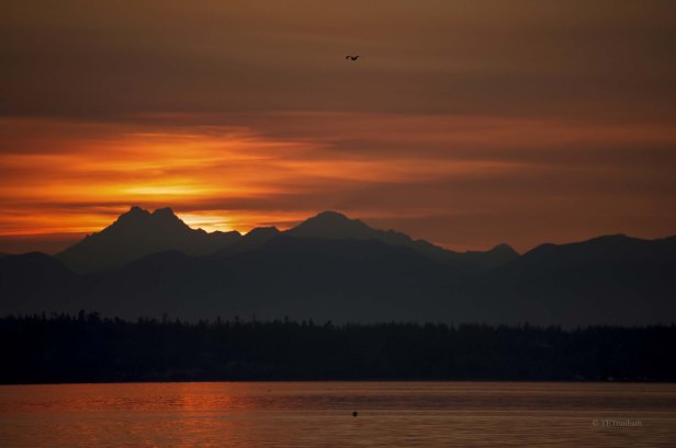 DSC_9166_clean_bright - Joe Edits 030719