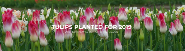 Screenshot 2019-04-03 at 16.14.32