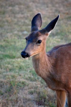 1979190_10206983221198172_311199235629381903_o