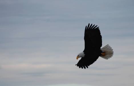 15493592_10211460775454230_8737559739075157149_o