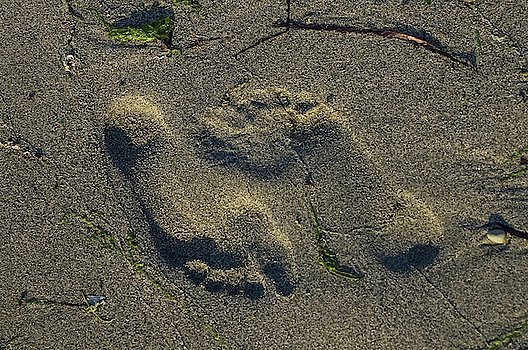 yin-and-yang-and-sand-tom-trimbath