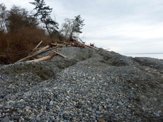 whidbey-island-landslide-stephen-slaughter-3_27_2013_0002