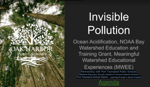 screenshot-2020-06-05-at-08.41.18