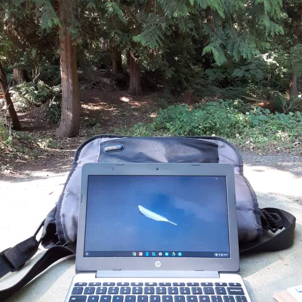 IMG_20200729_101000_869